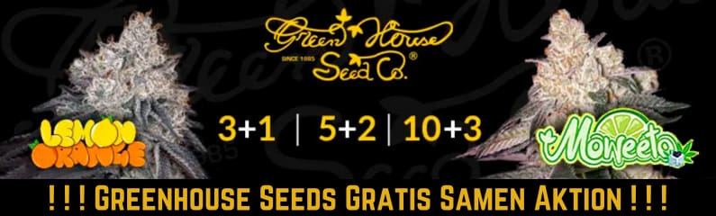 Greenhouse Seeds Gratis Samen Aktion