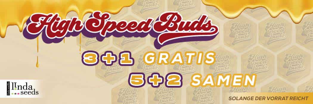 High Speed Buds AKTION!
