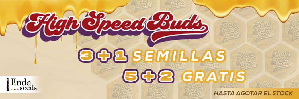 Promoción de semillas en High Speed Buds !