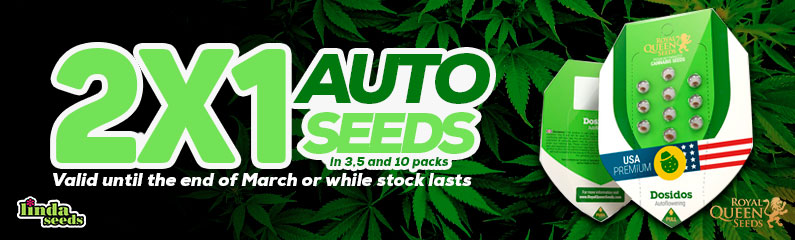 2 x 1 in Royal Queen Seeds!