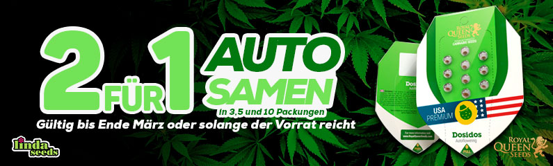 2 für 1 bei Royal Queen Seeds!