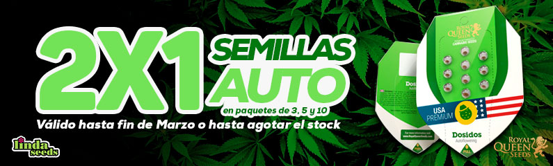 2 por 1 en Royal Queen Seeds!