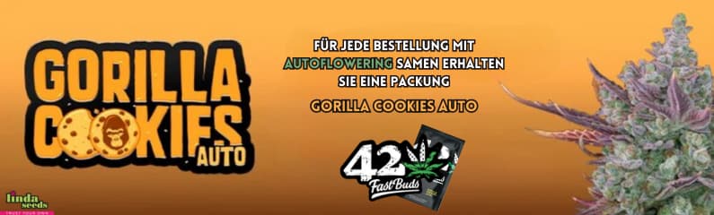 Promo+1 (Gorilla Cookies) German