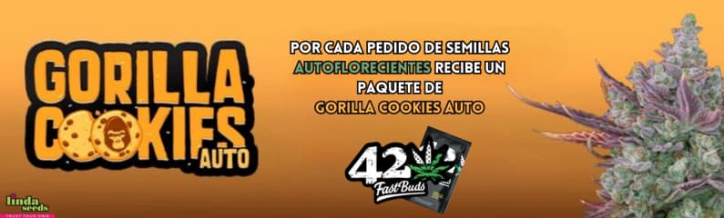 Promo+1 (Gorilla Cookies) Spanish