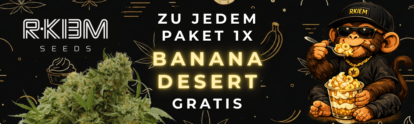 rkiem seeds PROMO