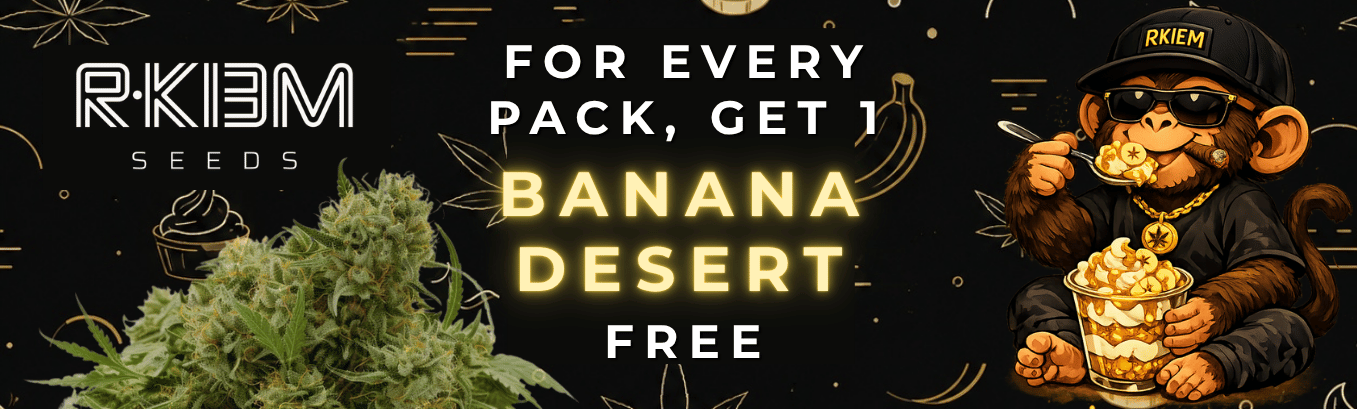 rkiem seeds PROMO