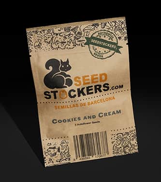 Cookies and Cream Auto > Seed Stockers | Semillas autoflorecientes  |  Indica