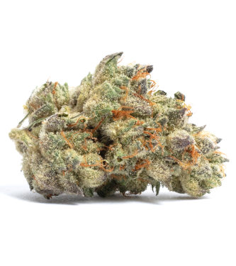 Cookies Fast > Bulk Seeds | Feminized Marijuana   |  hybrid