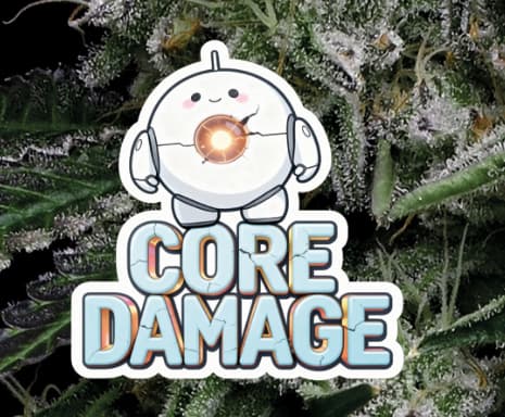Core Damage semilla > Anesia seeds | Semillas feminizadas  |  Índica