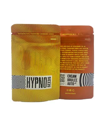 Cream Brulee Auto > Hypno Seeds | Graines Autofloraison  |  Indica