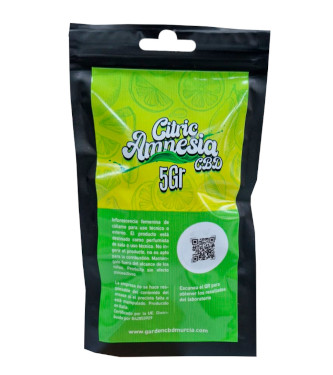 Citric Amnesia CBD > CBD Gras | CBD Produkte