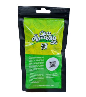 Citric Amnesia CBD > CBD Weed | CBD Products