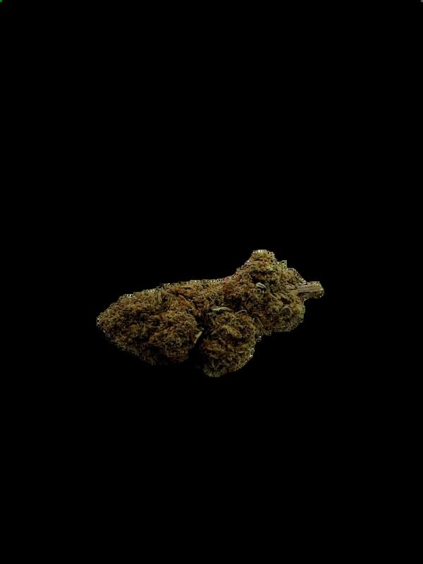 Critical 2.0 > North Spices | CBD Flowers