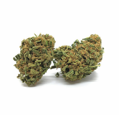 Critical CBD > Graines en Gros | Graines CBD  |  Hybride