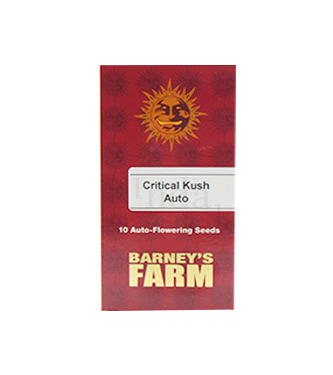 Critical Kush Auto > Barney\'s Farm | Semillas autoflorecientes  |  Indica