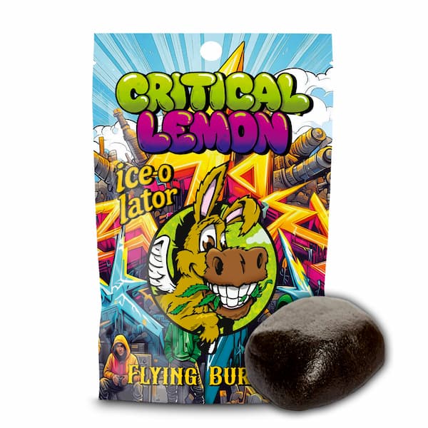 Critical Lemon Iceolator > Flying Burrito CBD | Hachís CBD