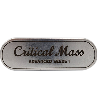 Critical Mass > Advanced Seeds | Semillas feminizadas  |  Híbrido