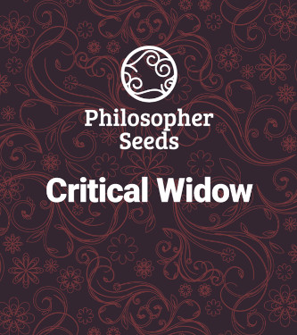 Critical Widow > Philosopher Seeds