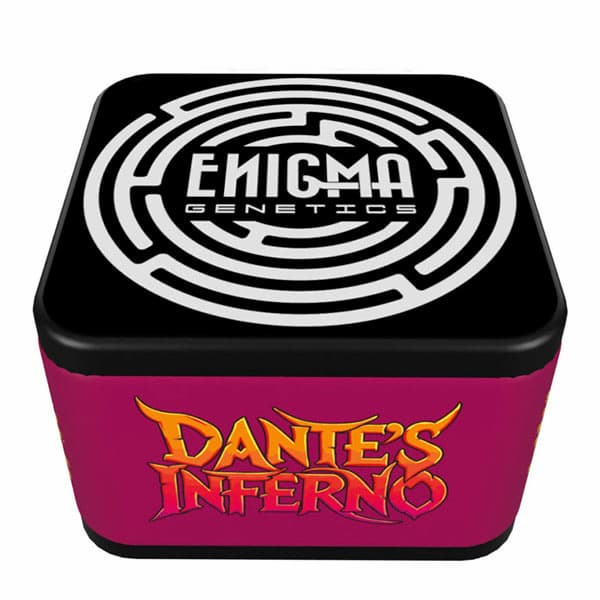 Dante\'s Inferno semilla > Enigma Genetics | Semillas feminizadas  |  Índica