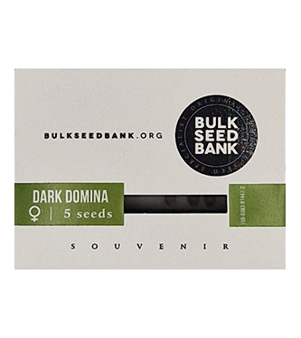 Dark Domina > Bulk Seed Bank | Feminisierte Hanfsamen  |  Indica