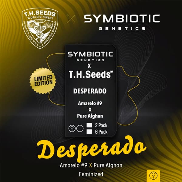 Desperado Seed > TH Seeds | Feminized Cannabis   |  Sativa