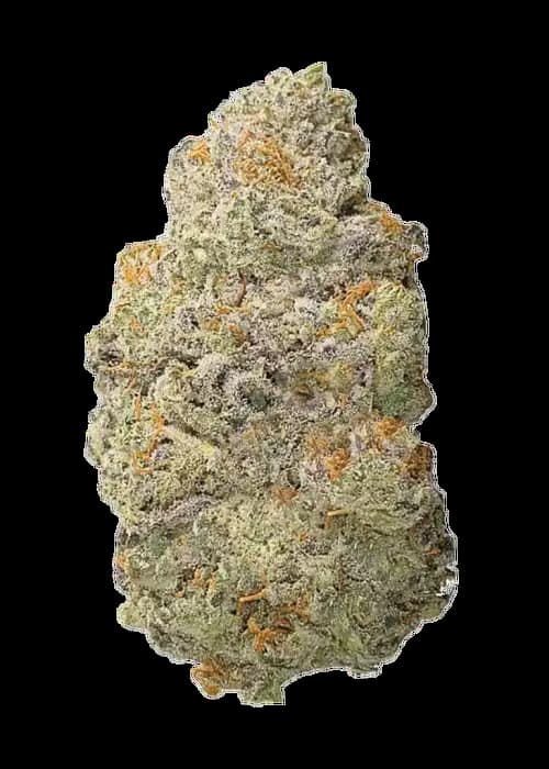 Dirty Zoap semilla > Bask Triangle Farms | Semillas feminizadas  |  Índica