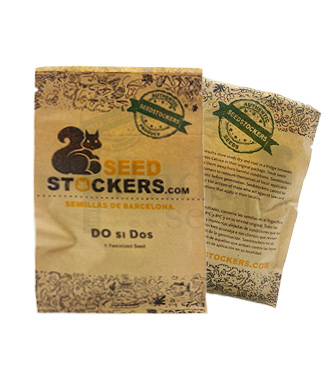Do Si Dos > Seed Stockers | Feminisierte Hanfsamen  |  Indica