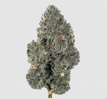 Double Dipped Strawberries Seed > DNA Genetics | Feminized Cannabis   |  Indica