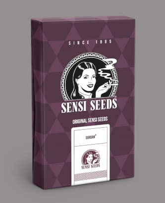 Durban > Sensi Seeds | Feminisierte Hanfsamen  |  Sativa