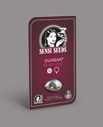 Durban > Sensi Seeds | Graines Féminisées  |  Sativa