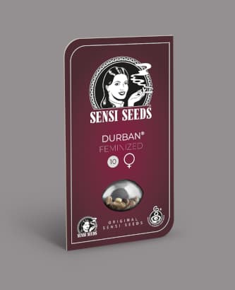 Durban > Sensi Seeds | Semillas feminizadas  |  Sativa