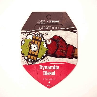 Dynamite Diesel > Royal Queen Seeds | Feminized Cannabis   |  Sativa