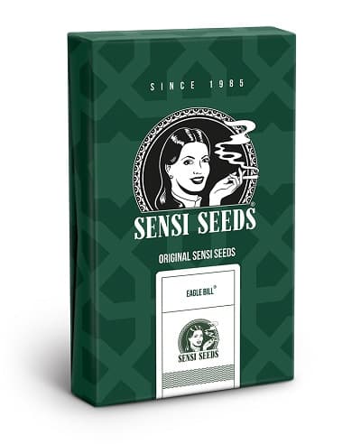 Eagle Bill > Sensi Seeds | Regular Marijuana   |  Sativa