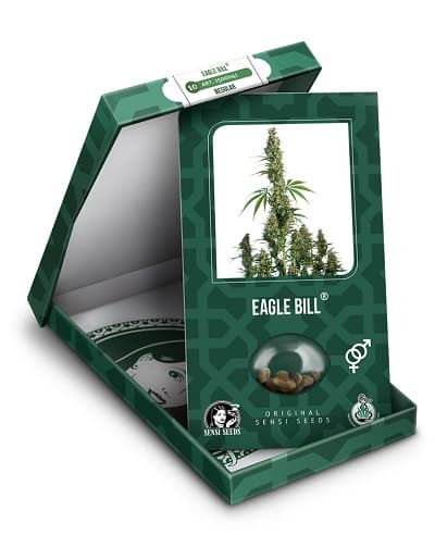 Eagle Bill > Sensi Seeds | Regular Cannabis   |  Sativa