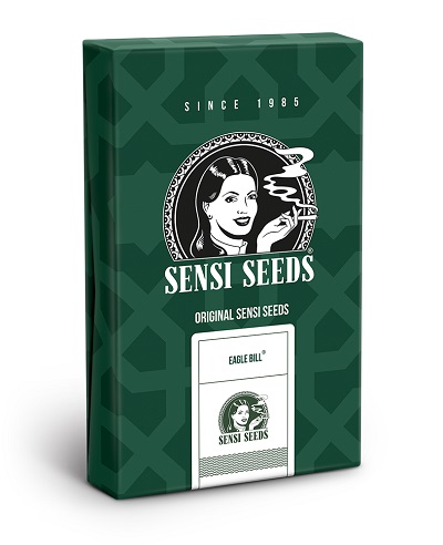Eagle Bill > Sensi Seeds | Reguläre Hanfsamen  |  Sativa