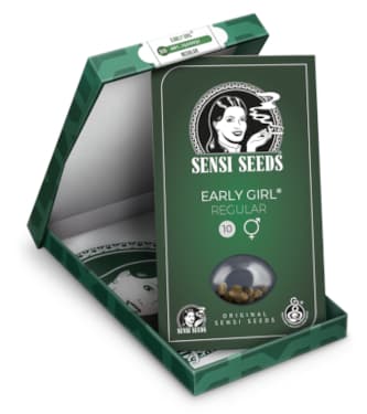 Early Girl > Sensi Seeds | Semillas Regulares  |  Indica