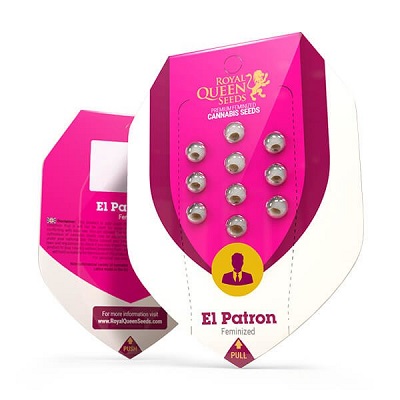 El Patron > Royal Queen Seeds | Semillas feminizadas  |  Híbrido