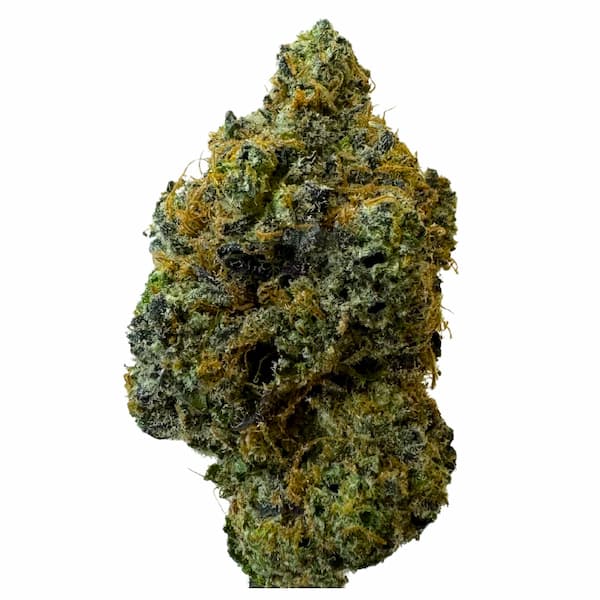 Emerald Envy > Paradise Seeds | Feminized Cannabis   |  Indica