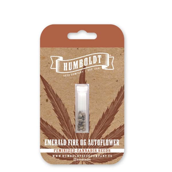 Emerald Fire OG Auto > Humboldt Seed Company | Autoflowering Hanfsamen  |  Indica