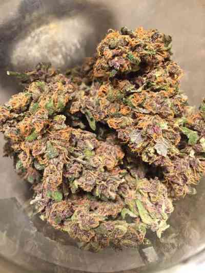 FastBerry > Fast Buds Company | Autoflowering Cannabis   |  Indica