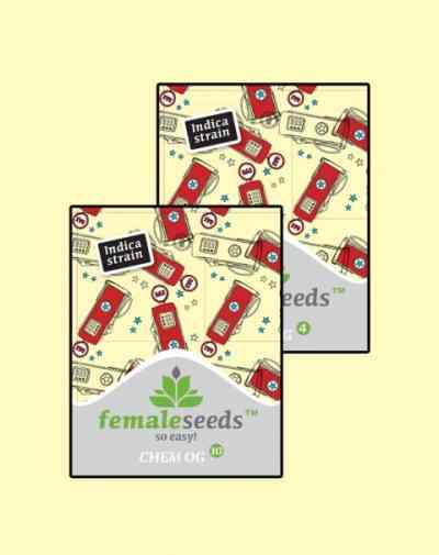 Chem OG > Female Seeds | Semillas feminizadas  |  Indica