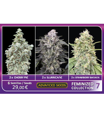 Feminized Collection #7 > Advanced Seeds
