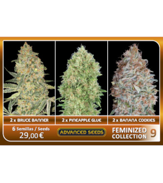 Feminized Collection #9 > Advanced Seeds