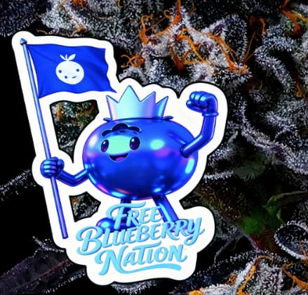 Free Blueberry Nation semilla > Anesia Seeds | Semillas feminizadas  |  Índica