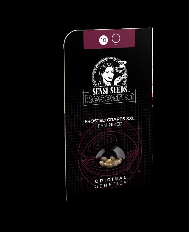 Frosted Grapes XXL graines > Sensi Seeds | Graines Féminisées  |  Indica