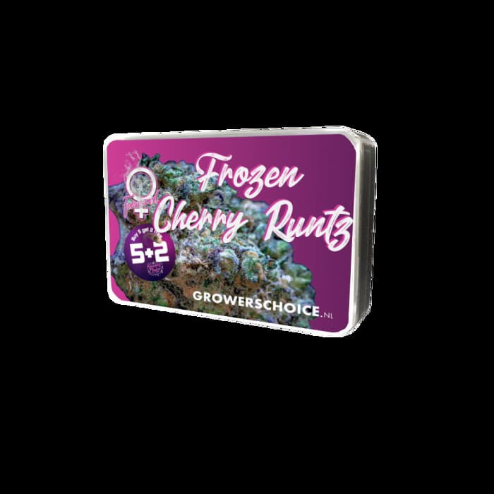 Frozen Cherry Runtz Seed > Growers Choice | Feminized Cannabis   |  Indica