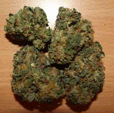 Fruity Chronic Juice > Delicious Seeds | Feminized Marijuana   |  Indica