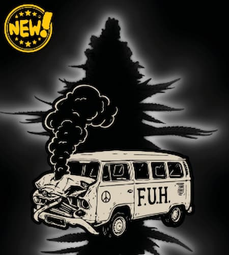 F.U.H Auto graines > Seed Stockers | Graines de cannabis autoflo  |  Sativa