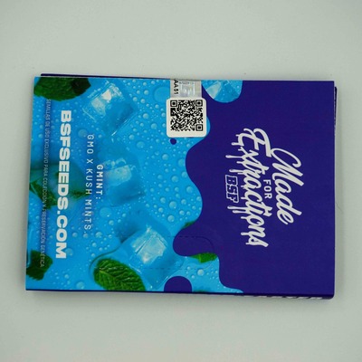 G-Mint Samen > BSF Seeds | Feminisierte Hanfsamen  |  Sativa