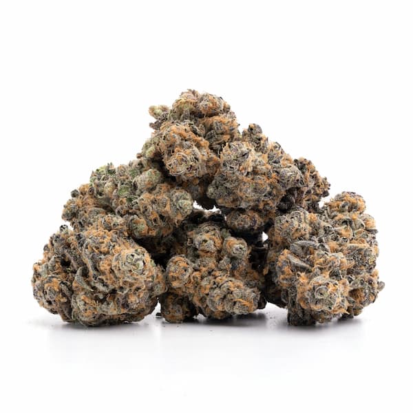 Garlic Drama Seed > Bask Triangle Farms | Feminized Cannabis   |  Indica